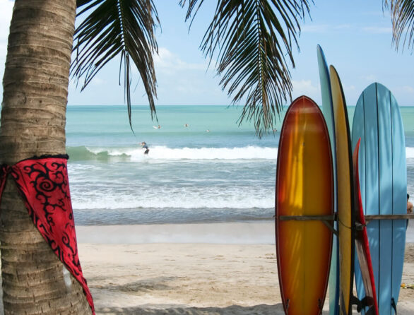 Surf Trip